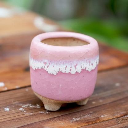 MINICACTA – Mini Ceramic Succulent Pot Set