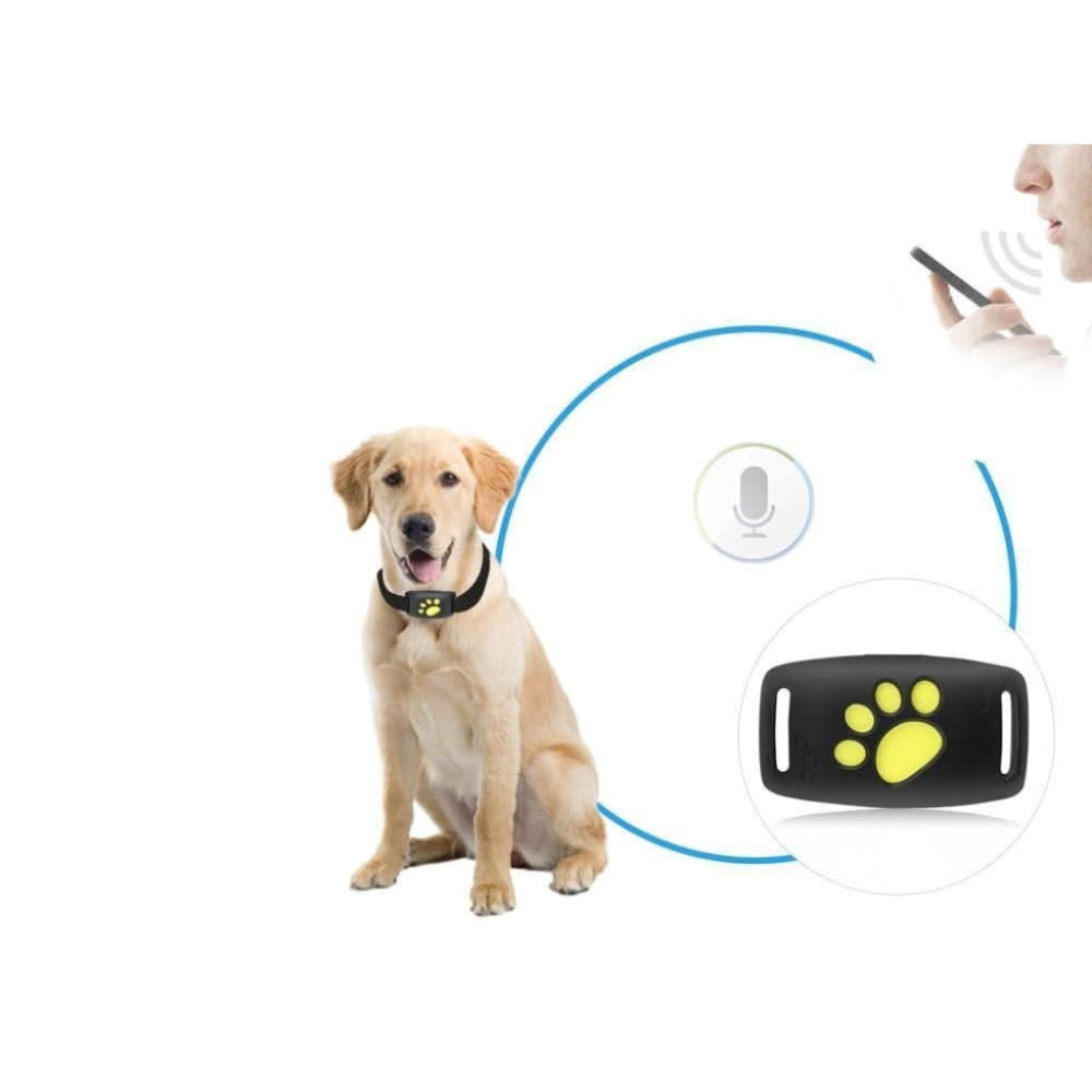 Feline Guardian | Cat GPS Tracker Collar with Real-Time Location Updates | Compact Design for Pet Safety