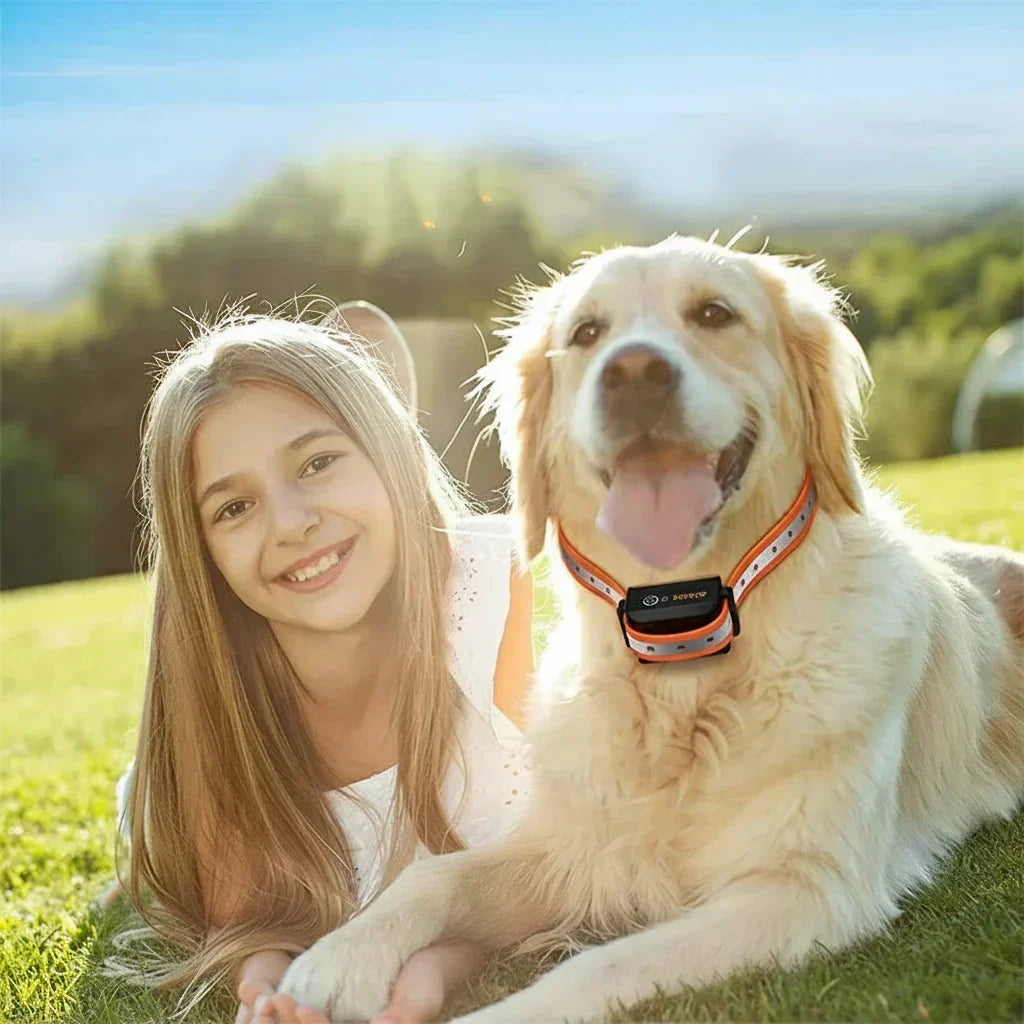 Remote Pet Training Collar with 3280 ft Range – Rechargeable Waterproof System with Vibration, Tone & Adjustable Stimulus for Small to Large