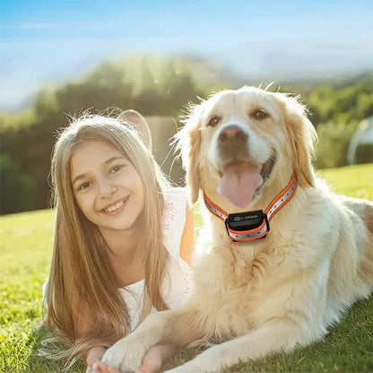 Remote Pet Training Collar with 3280 ft Range – Rechargeable Waterproof System with Vibration, Tone & Adjustable Stimulus for Small to Large
