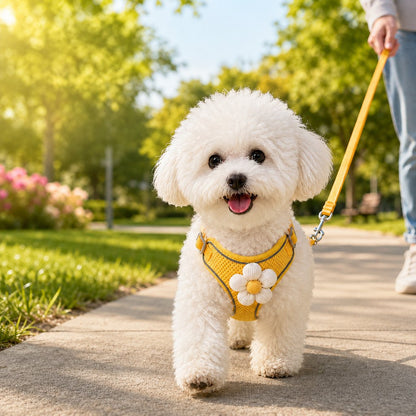 Ortekor Daisy Pet Harness & Leash Set for Daily Walks - Adjustable, Breathable Comfort for Small Dogs & Cats