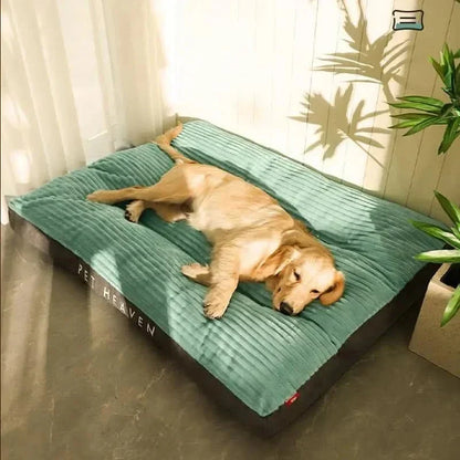 Orthopedic Dog Bed with Memory Foam Support for Joint Relief & Comfort | Medium Large XL Sizes for Senior Dogs | Washable Plush Pet