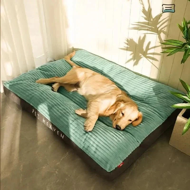Orthopedic Dog Bed with Plush Cover - Memory Foam Support for Joint Relief & Comfort