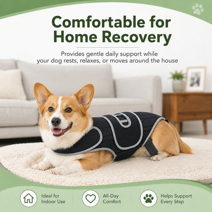 Ortekor Dog Back Support Vest for Daily Walks & Home Recovery - Adjustable Support for Long-Backed and Senior Dogs
