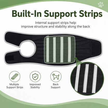 Ortekor Dog Back Support Vest for Daily Walks & Home Recovery - Adjustable Support for Long-Backed and Senior Dogs