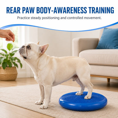 Ortekor Inflatable Dog Balance Disc with Pump - At-Home Balance & Coordination Training for Dogs with Limited Exercise Space
