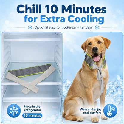 Ortekor Dog Cooling Neck Wrap for Summer Walks, Hiking & Beach Days – Water-Activated Cooling Collar Scarf for Hot Weather Comfort