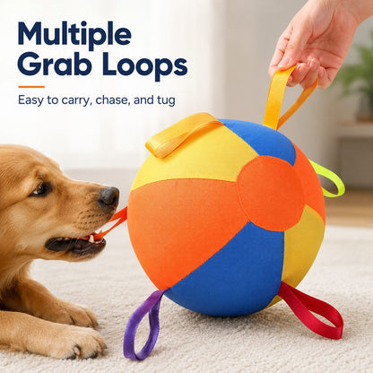 Ortekor Inflatable Dog Play Ball for Backyard & Indoor Play - Oversized Chase and Tug Toy to Burn Energy and Ease Boredom