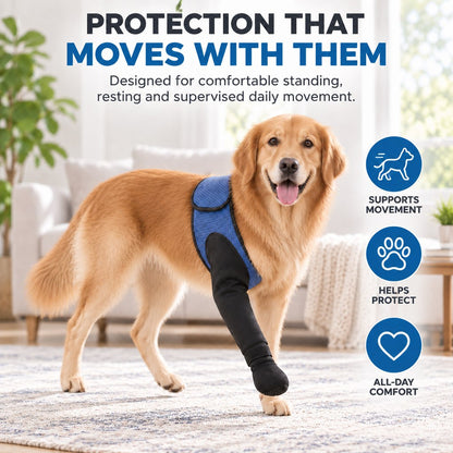 Ortekor Dog Front Leg Support Brace for At-Home Recovery & Anti-Lick Protection - Full-Length Sleeve with Paw Cover