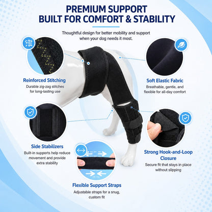 Ortekor Adjustable Dog Leg Support Brace for Daily Walks - Support for Weak Front or Hind Legs