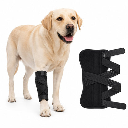 Ortekor Dog Leg Recovery Support Brace for Senior Dogs & Post-Surgery Wound Protection - Adjustable Front & Rear Leg Stabilizer