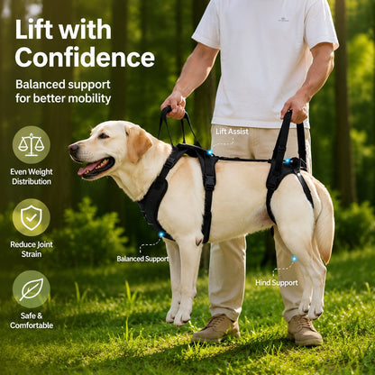 Ortekor Full-Body Dog Lift Harness for Large Dogs - Front & Rear Mobility Support for Stairs, Car Ramps and Weak Hind Legs