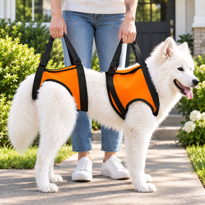 Ortekor Dog Mobility Lift Harness for Senior & Limited-Mobility Dogs - Front, Rear & Full Support for Stairs, Cars & Daily Walking