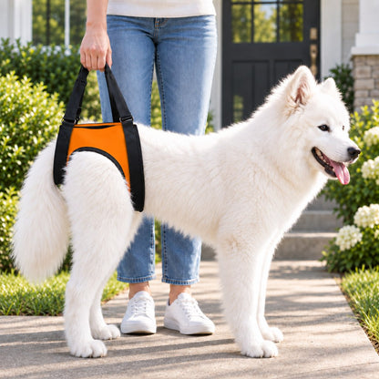 Ortekor Dog Mobility Lift Harness for Senior & Limited-Mobility Dogs - Front, Rear & Full Support for Stairs, Cars & Daily Walking