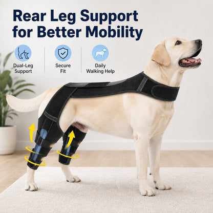 Ortekor Dog Rear Leg Support Harness for Senior Dogs - Dual Hind Leg Mobility Aid for Walking & Standing