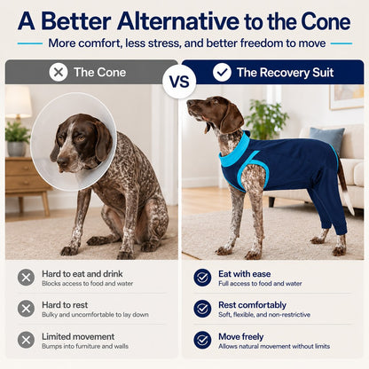 Ortekor Dog Recovery Suit with Rear Leg Coverage - Anti-Lick Cone Alternative