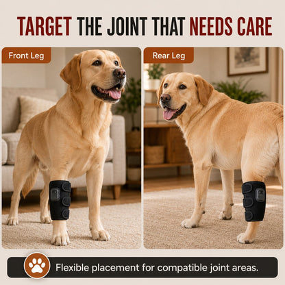 Ortekor Dog Red Light Joint Wrap for Senior Dogs & Post-Walk Comfort - 20-LED Adjustable Mobility Support