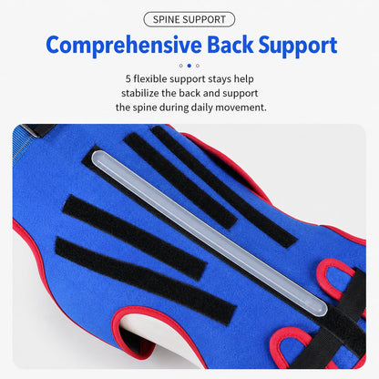 Ortekor Dog Spine Support Vest for Senior & Recovery Dogs - Adjustable Back Support for Walking & Daily Mobility