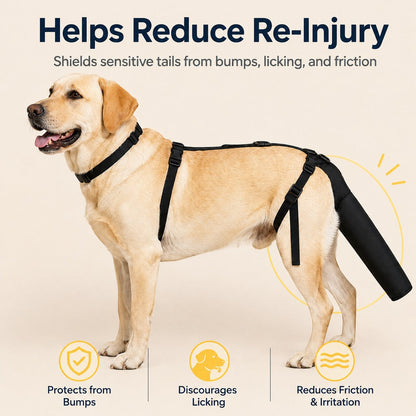 Ortekor Adjustable Dog Tail Protector for Recovery & Daily Walks - Padded Guard for Sensitive Tails