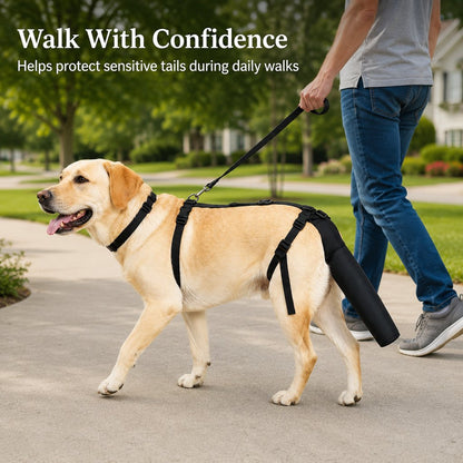 Ortekor Adjustable Dog Tail Protector for Recovery & Daily Walks - Padded Guard for Sensitive Tails