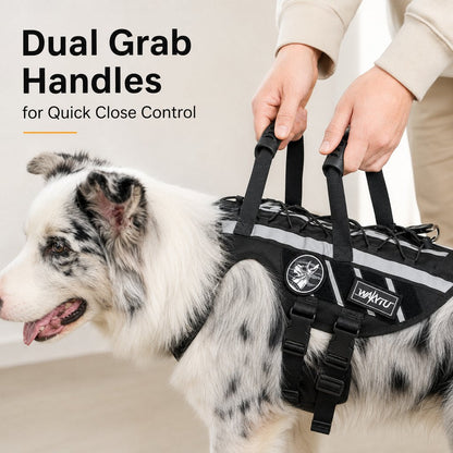 Ortekor Outdoor Dog Harness & Bungee Leash Set with Dual Handles, Storage Pouch & Patch Accessories for Hiking, Walking and Everyday Adventures