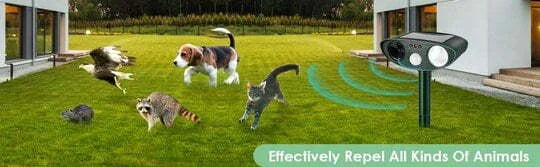 EcoGuard | Ultrasonic Chipmunk Repeller with Solar Power & Motion Sensor | 2425 sq ft Coverage for Safe Pest Control