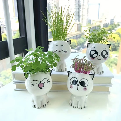 Kitty Planters
