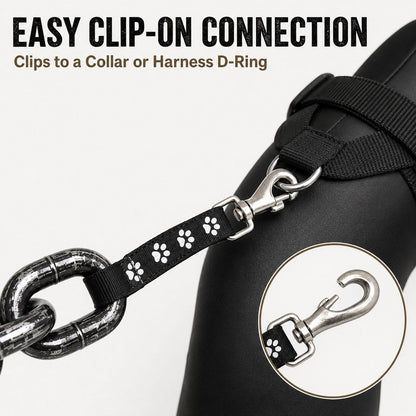 Ortekor Oversized Chain Dog Leash & Collar Set for Small Dogs - Make Everyday Walks Stand Out