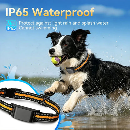 Collar-Mounted GPS Location Monitor for Cats with Geofence Alerts, Historical Route Logging & Multi-Technology Positioning for Indoor &