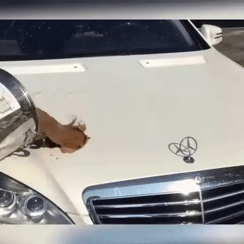 Nano Ceramic Auto Paint Sealant Spray for Lasting Gloss & UV Defense on Cars, Trucks & SUVs