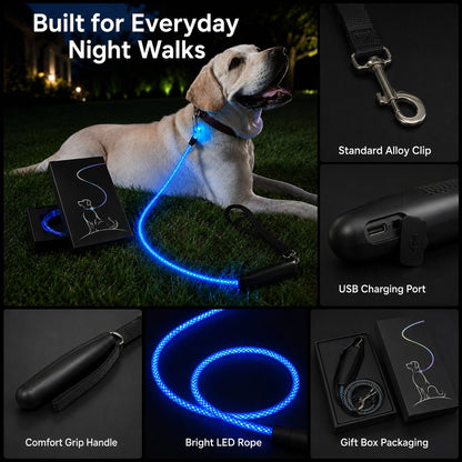 Ortekor NightGlow LED Light-Up Dog Leash for Night Walks - USB Rechargeable Safety Leash That Helps Your Dog Stay Visible in the Dark
