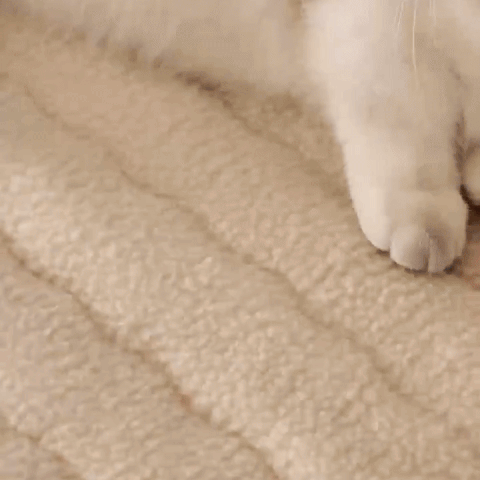 LuxeRest – Plush Sofa Protector