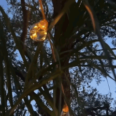 Glimmer Hemp Rope Solar Lights - Weatherproof, Adjustable Length