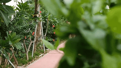 BLENDLY – Portable Smoothie Blender with Rechargeable Battery for Fresh Drinks Anywhere