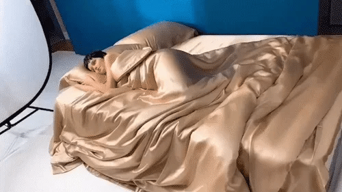 Ortekor Luxurious Silk Bedding Set | Duvet Covers for Skin & Hair Care
