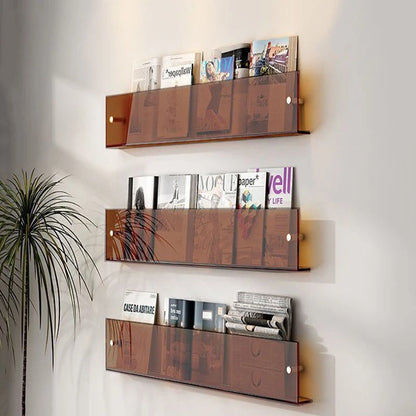 Vinyl Record Holder Wall Rack Magazine Organizer Shelf for Living Room Books Newspapers Home Office Storage Clear Acrylic Display Mount