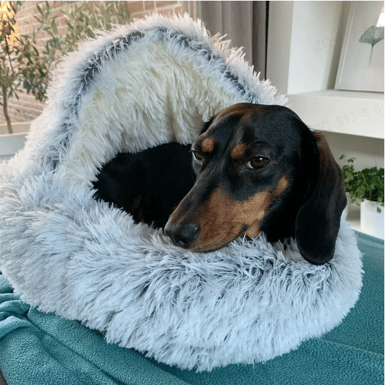 Ortekor Cozy Haven | Premium Pet Bed with Anti-Slip Design | Multi-Purpose Comfort for All Breeds