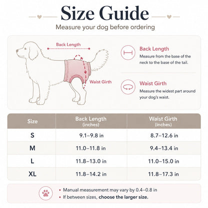 Ortekor Washable Female Dog Heat Pants for Home & Furniture Protection - Adjustable Sanitary Diaper with Shoulder Straps