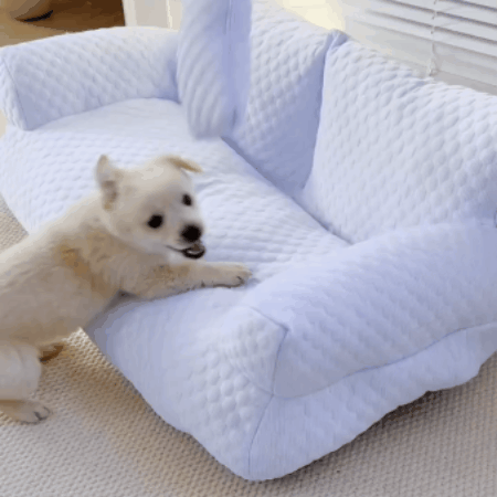 Comfort Haven | Pet Cooling Couch with Breathable Fabric | Ideal for Hot Days