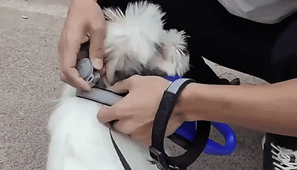 Pet Guardian | GPS Dog Tracker with Real-Time Updates | Compact Design for Safety and Control