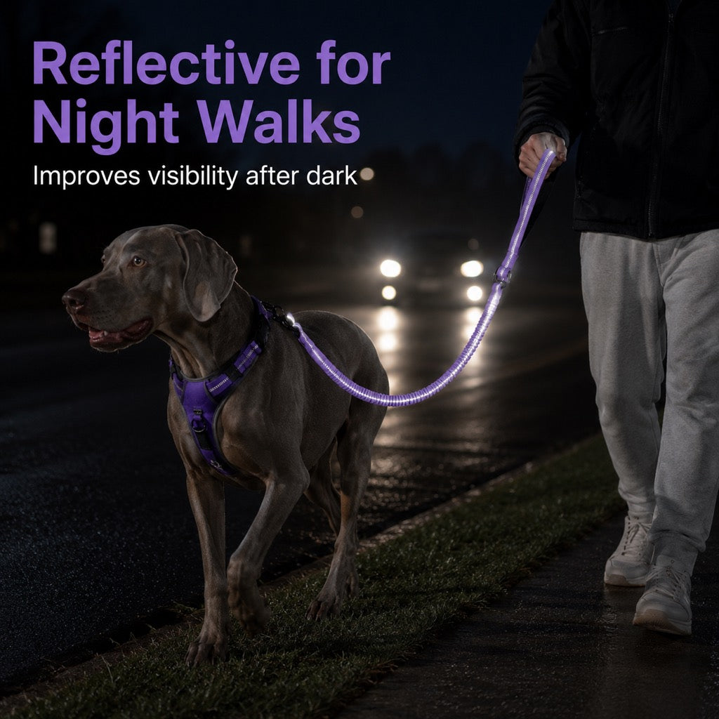 Ortekor Reflective Dog Car Seat Belt Leash for Backseat Travel & Daily Walks - Shock-Absorbing Bungee Tether to Help Reduce Pulling & Driver Distraction