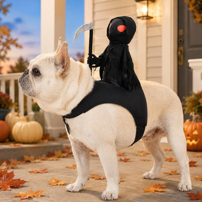 Ortekor Grim Reaper Rider Pet Costume – Adjustable 3D Halloween Outfit for Trick-or-Treat, Parties & Photos