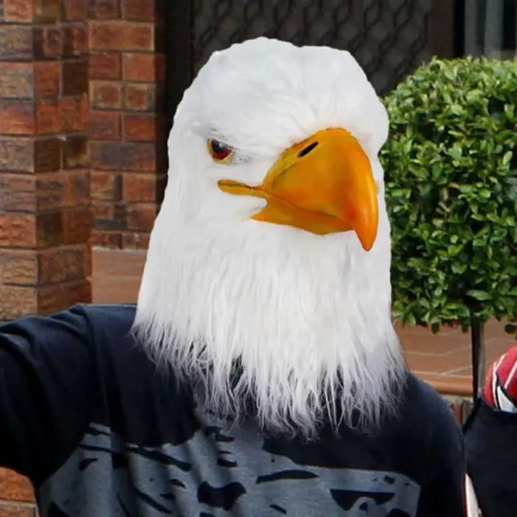 Eagle Head Mask | Realistic Animal Costume Accessory for Halloween Fun