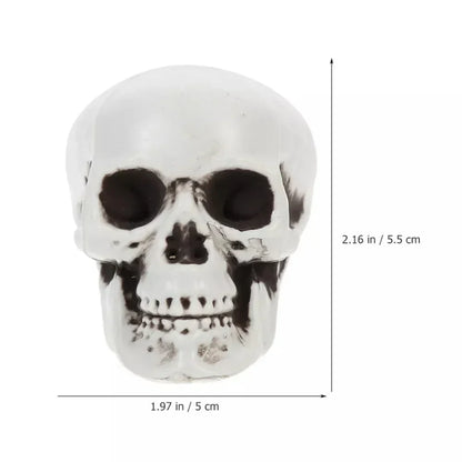 Mini Skeleton Skulls 10 Pack, Halloween Skull Decorations for Tabletop, Skeleton Heads for Halloween Skeleton Decor