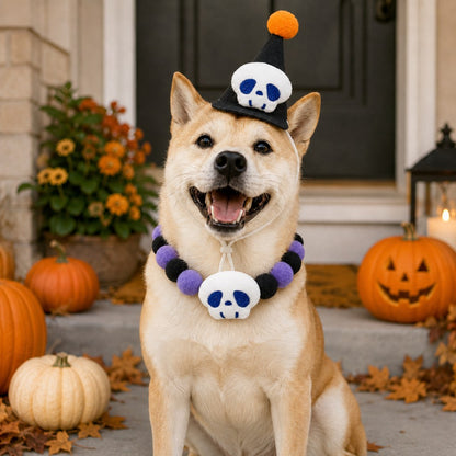 Ortekor Halloween Pet Hat & Pom-Pom Collar Set for Dogs & Cats – Easy 2-Piece Costume for Parties, Trick-or-Treating & Photos
