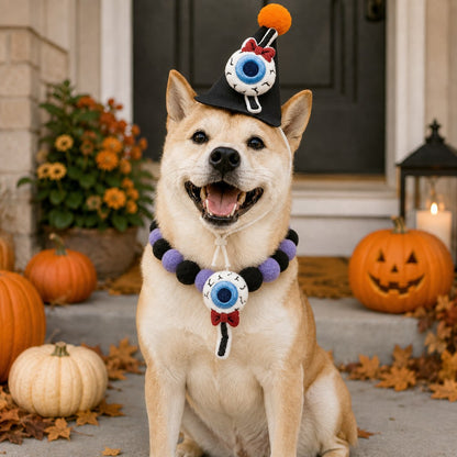 Ortekor Halloween Pet Hat & Pom-Pom Collar Set for Dogs & Cats – Easy 2-Piece Costume for Parties, Trick-or-Treating & Photos