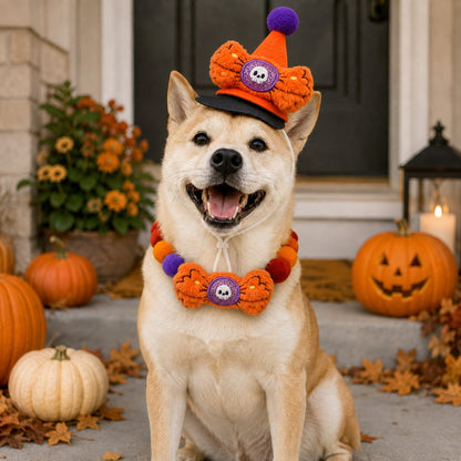 Ortekor Halloween Pet Hat & Pom-Pom Collar Set for Dogs & Cats – Easy 2-Piece Costume for Parties, Trick-or-Treating & Photos