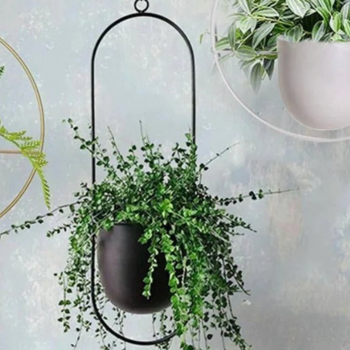 Wall-Mount Iron Planter 8 Inch Modern Floating Circle Halo Design for Succulents Herbs Indoor Outdoor Display Space-Saving Balcony Patio Apa