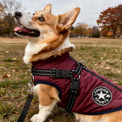 Insulated Dog Coat with Built-In Harness – Water-Resistant Winter Jacket for Dogs, Reflective Trim