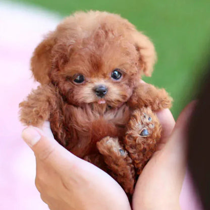 Lifelike Animated Plush Dog Toy Battery Operated Soft Fur Cuddle Buddy for Kids Seniors Companion Pet Alternative